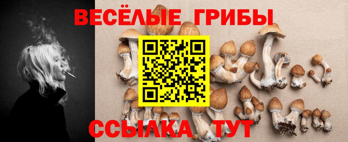 Слободской  Галлюциногенные грибы ЛСД  Вход с VPN  Галлюциногенные грибы GOLDEN TEACHER 